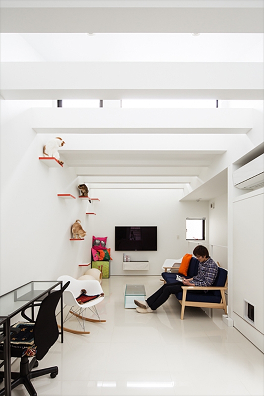 img-oku09-thumb-autox660-10618